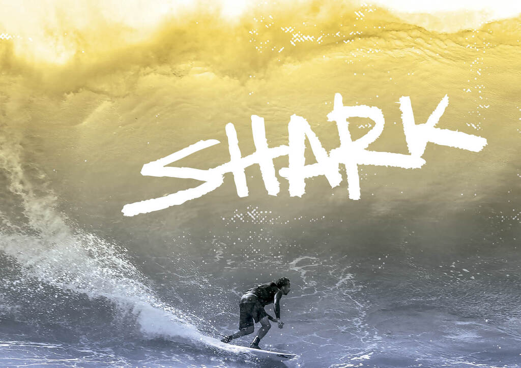 Shark